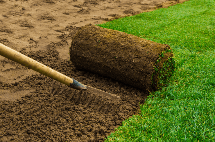 Lopez Lawn Care